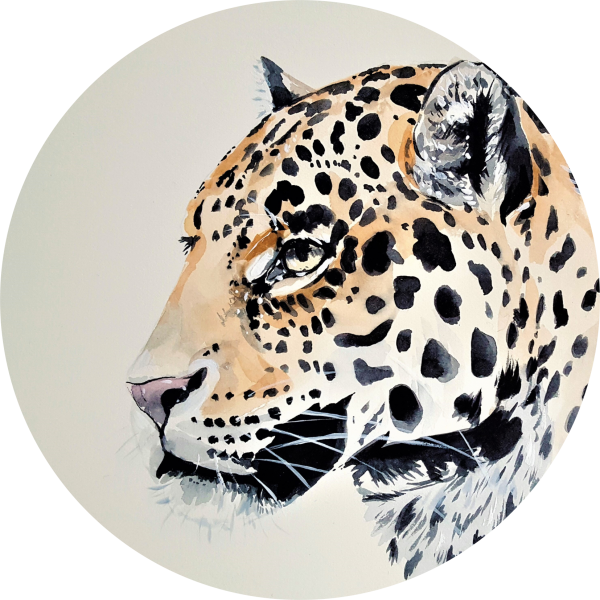 Tortenaufleger Jaguar